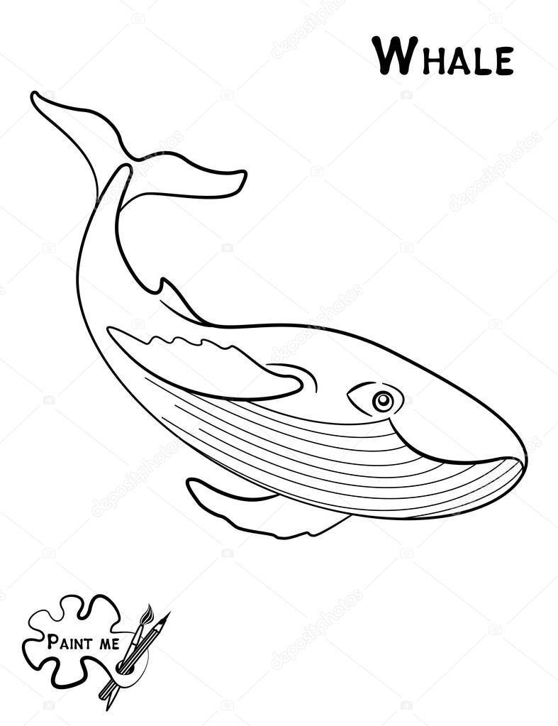 Libro da colorare per bambini che dice mi vernice Vita di mare Balena —