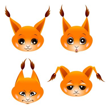 Bir karikatür tarzı yeni doğan sincaplara kafa. Temel duygular