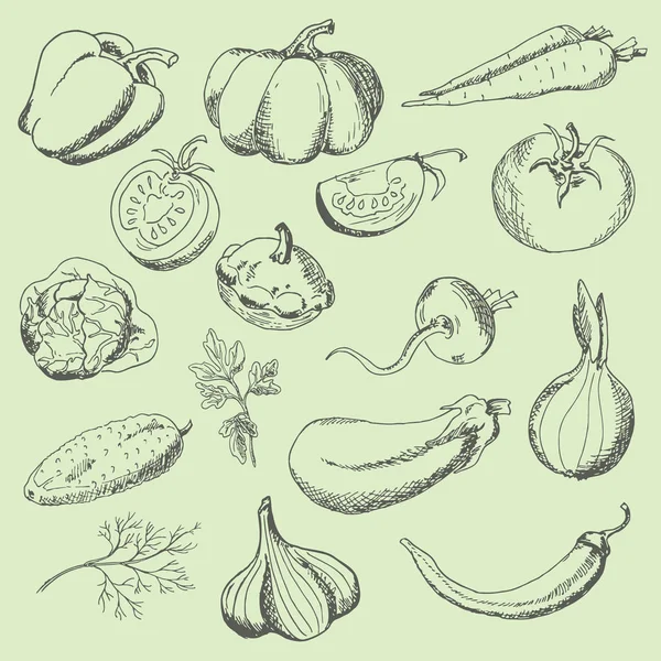 Sebze kümesi. Kroki işaretçisi. Vektör