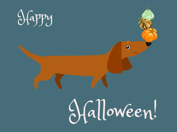 Cartolina Buon Halloween con un bassotto in mano sul naso co — Vettoriale Stock