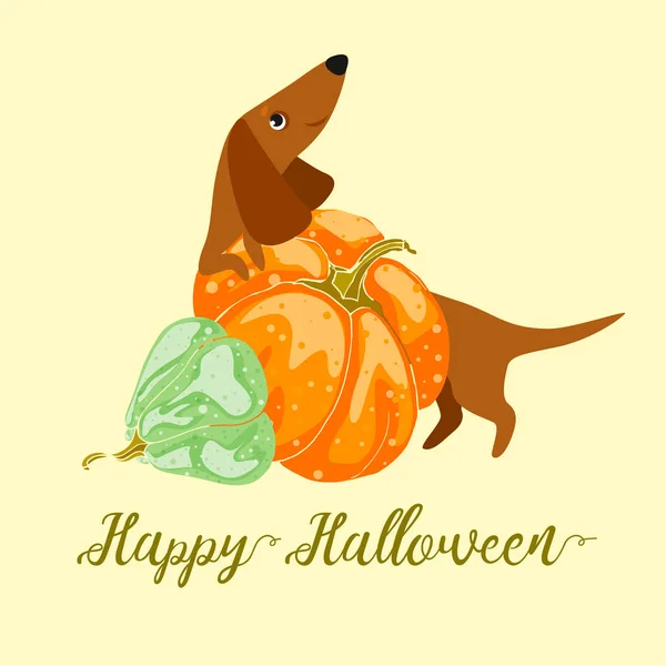 Cartolina Buon Halloween a pagamento a base di zucca arancione . — Vettoriale Stock