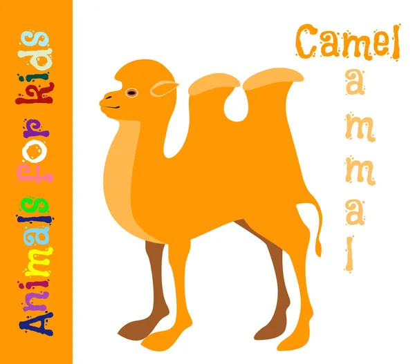 Camello. Mamífero. Animales para niños. Tarjetas para el desarrollo o — Vector de stock