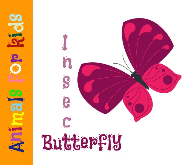 Butterfly. Insect. Animals for children. Cards for the developme