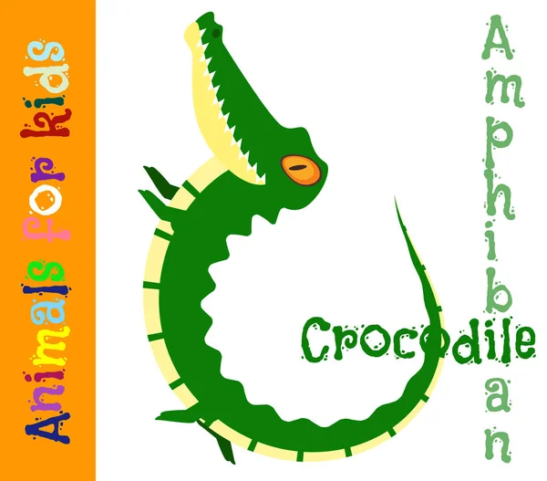 Crocodile. Amphibian. Reptile. Animals for children. Cards for t