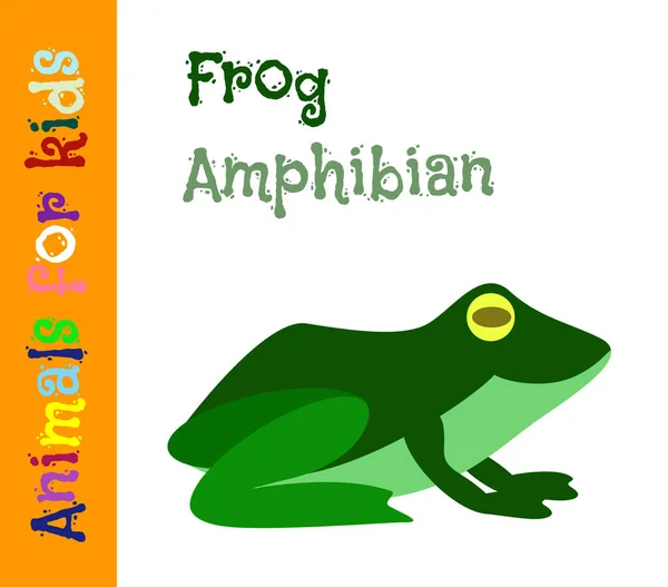 Grenouille. Amphibien. Animaux pour enfants. Cartes pour le développement — Image vectorielle