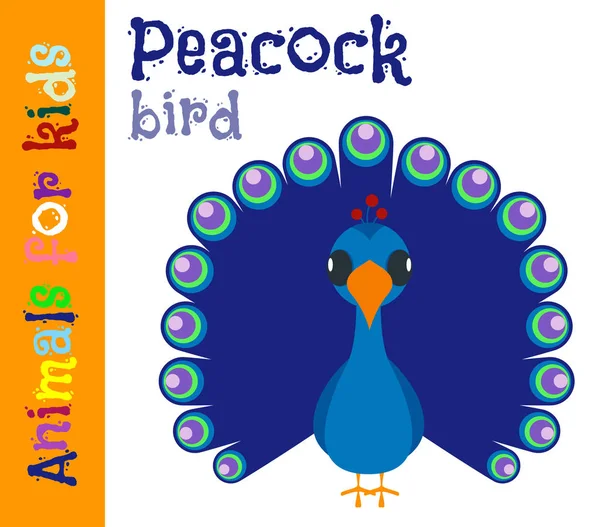 Peacock. Bird. Animals for children. Cards for the development o