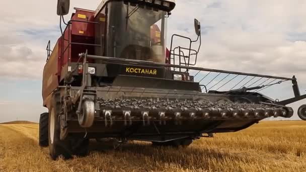 コンバインハーベ スター。小麦の収穫. — ストック動画