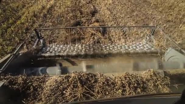 Combiner la moissonneuse. Champ de colza. Récolte des viols.Vue de la cabine .