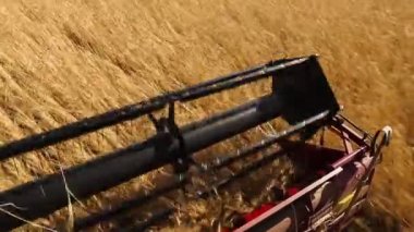 Hasat birleştirin. Buğday hasat.