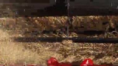 Hasat birleştirin. Buğday hasat.