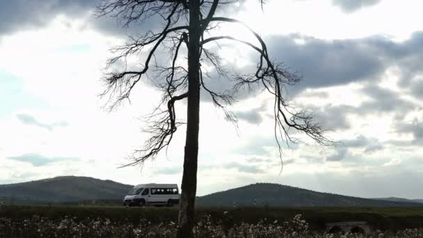 時間の経過。道路の近くの葉のない孤独な木。山の丘の上。フォレスト。雲。灰色の雲の切れ間から太陽の光. — ストック動画