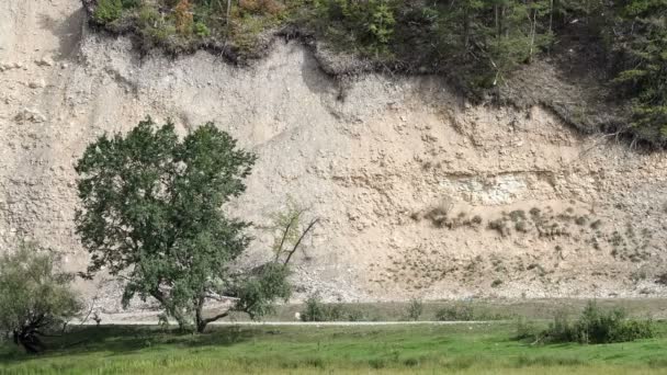 Drie jeeps rijden langs de bergweg. Panorama. Naaldhout bergbos. Rivier. Blauwe hemel. — Stockvideo