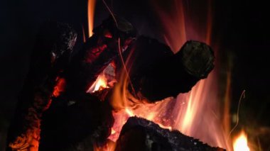 Piknik. Şenlik ateşi. Yanan odun. Gece.