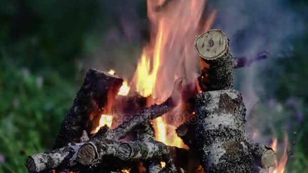 Piknik. Bonfire. Hořící dřevo. Noční. — Stock video