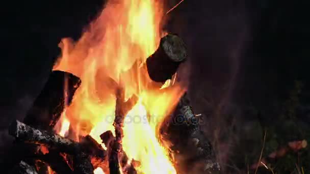 Picnic. Bonfire. Burning firewood. Night. — Stock Video
