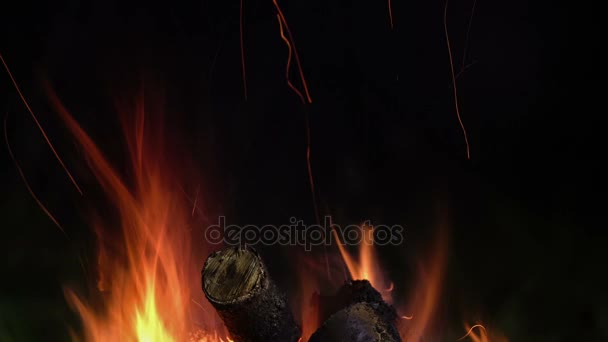 Piknik. Bonfire. Hořící dřevo. Noční. — Stock video