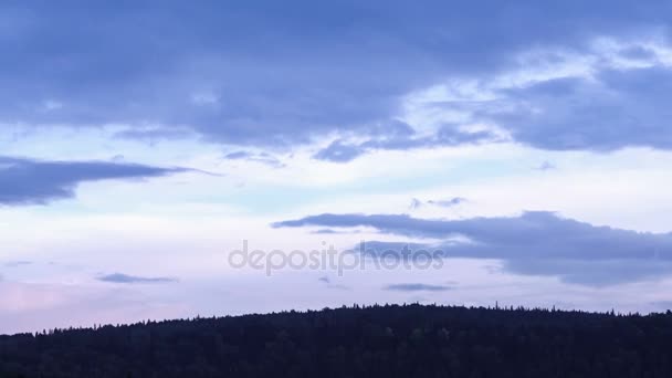 Toppar av granar. Mountain tallskog. Blå himmel. Rörliga moln. Liten fog. Uralbergen. Panorama. — Stockvideo