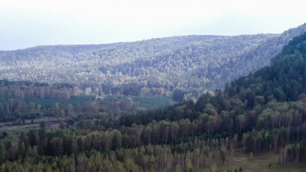 Tetejét a fenyők. TimeLapse. Hegyvidéki fenyvesben. Panoráma. Kék ég. Mozgó felhők. Szikla hegy. — Stock videók