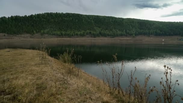 Hegyi tó partján. Hillside. Hegyi erdő. Panoráma. Szürke égbolt. — Stock videók