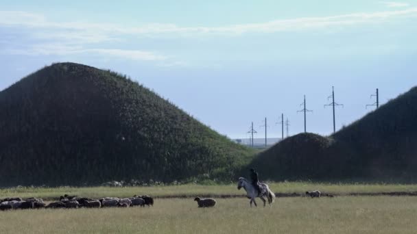 Osamělý pastýř na bílém koni honí stádo ovcí na pozadí zelených kopců. — Stock video