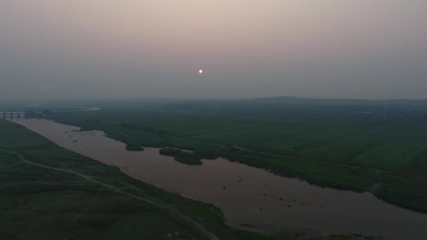 Légifelvételek. Panoráma nyári reggel táj. A festői táj, a folyó, a fák és a hihetetlen nap mező. Reggel köd. — Stock videók