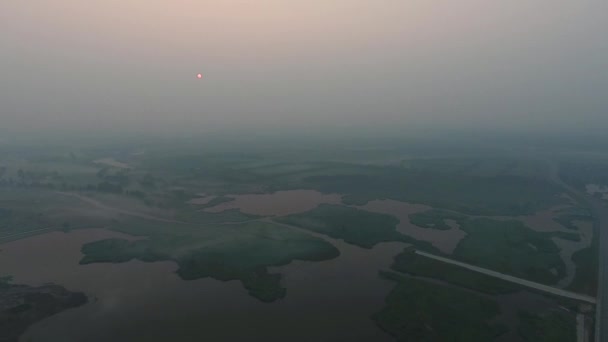 Luftaufnahme. panoramische Sommermorgen-Landschaft. die malerische Landschaft mit Fluss, Bäumen und Feld mit unglaublicher Sonne. Morgennebel. — Stockvideo