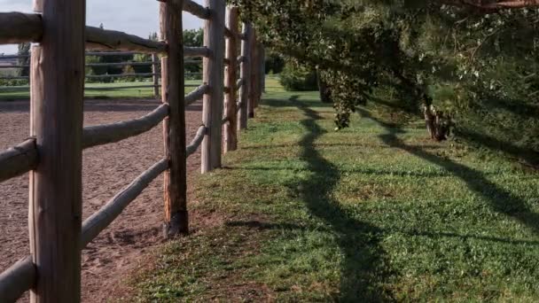 Tempo de exploração da criação de cavalos rodeada por uma cerca de madeira e árvores . — Vídeo de Stock