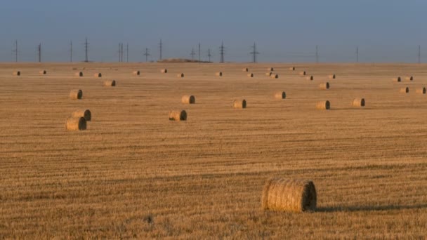 Time lapse of Bales of straw at the beautiful meadow landscape under blue sky. — Stock Video