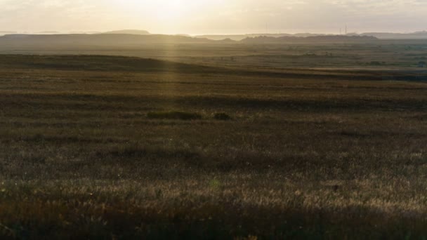 夜明けの夏草原の時間経過。処女の自然。生態学。Torgay、カザフスタン. — ストック動画