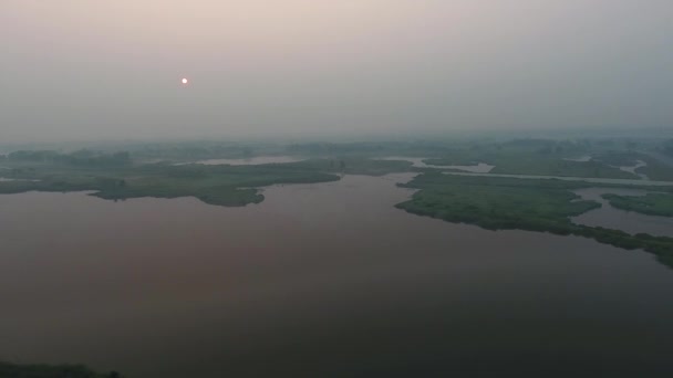 Légifelvételek. Panoráma nyári reggel táj. A festői táj, a folyó, a fák és a hihetetlen nap mező. Reggel köd. — Stock videók