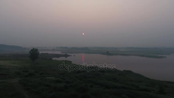 Flygfoto. Panoramautsikt över sommarlandskap morgon. Pittoreska landskap med flod, träd och fältet med otroliga Sol. Morgondimma. — Stockvideo