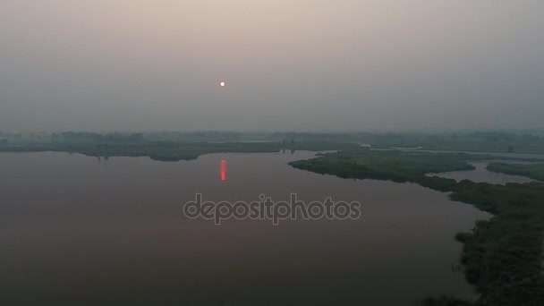 Légifelvételek. Panoráma nyári reggel táj. A festői táj, a folyó, a fák és a hihetetlen nap mező. Reggel köd. — Stock videók