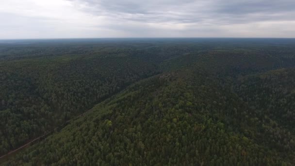 PAN aéreo plano de montañas cubiertas de bosque de coníferas . — Vídeos de Stock