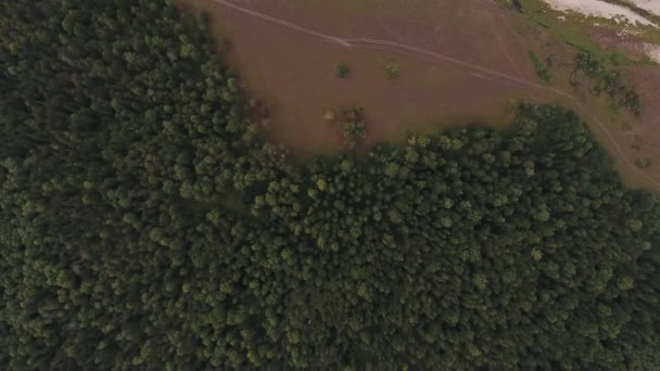 Volare verso l'alto vista dall'alto della foresta di montagna autunno . — Video Stock