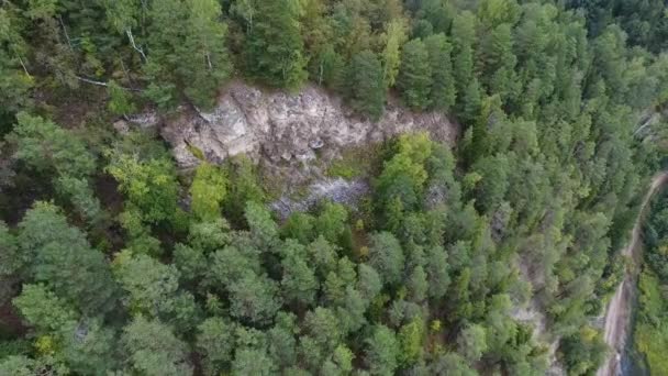 Tilt-down foto udara pegunungan ditutupi dengan hutan konifer dengan Sungai . — Stok Video