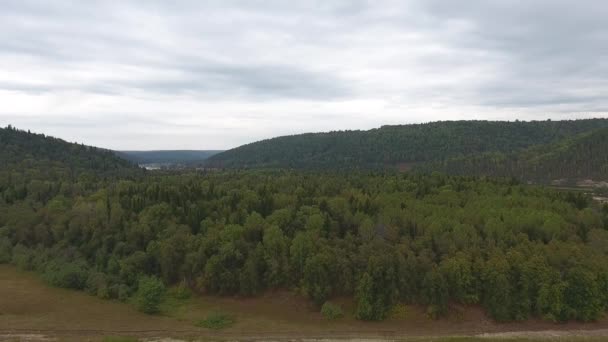 Vista aérea inclinada de montañas cubiertas de bosque de coníferas con río . — Vídeo de stock