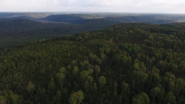 Vue de suivi d'en haut de la forêt de montagne d'automne . — Video