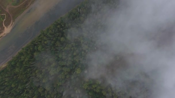 Captura aérea de seguimiento del río de montaña que fluye entre las montañas cubiertas de bosque. Nubes de lluvia gris. Niebla sobre el río . — Vídeos de Stock