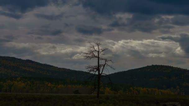 Grand plan d'arbre mort solitaire contre l'autoroute de montagne et les nuages qui flottent dans le temps .