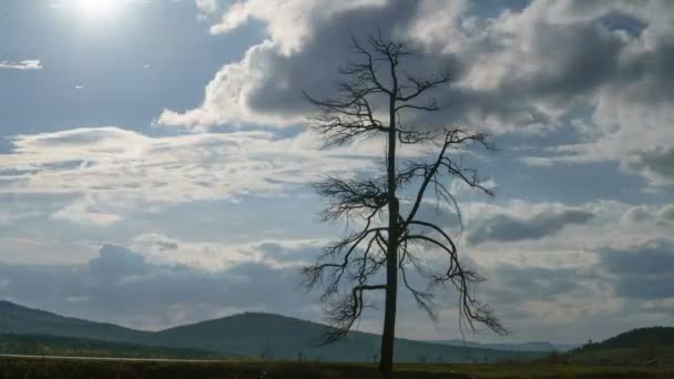 Wide shot van eenzame dode boom tegen tijd vervallen berg snelweg en wolken drijven door. — Stockvideo