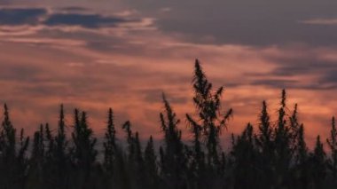 Muhteşem gün batımı arka planda esrar alanının Timelapse.