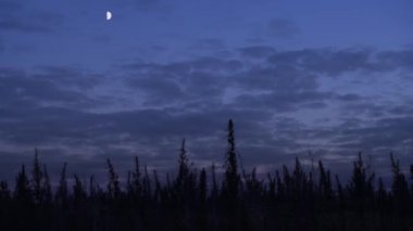 Esrar alanın şaşırtıcı alacakaranlık arka planda yavaş hareket geniş vurdu.