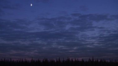 Esrar alanın şaşırtıcı alacakaranlık arka planda yavaş hareket geniş vurdu.