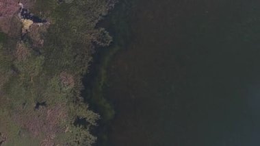 Atık ile kontamine tuzlu göl üzerinde uçan.