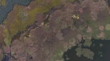 Atık ile kontamine tuzlu göl üzerinde uçan.