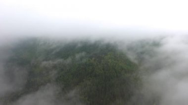 Dağlar arasında akan nehir dağ hava izleme görüntüsünü ormanıyla kaplı. Gri yağmur bulutları. Sis Nehri.