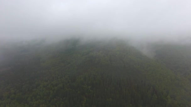 Luftaufnahme eines Gebirgsflusses, der zwischen den mit Wald bedeckten Bergen fließt. graue Regenwolken. Nebel über dem Fluss. — Stockvideo