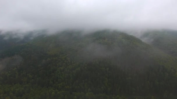 Rastreamento aéreo tiro de rio de montanha que flui entre as montanhas cobertas com floresta. Nuvens de chuva cinzentas. Nevoeiro sobre o rio . — Vídeo de Stock