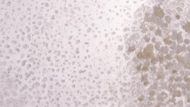 Temiz Tuz deseni dokusu. Büyük Salt Lake. Büyük Saline. Hava Aracı Üst Aşağı Görünümü.