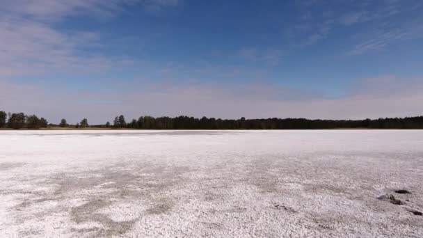 Lago Salato Secco Circondato da Pineta . — Video Stock